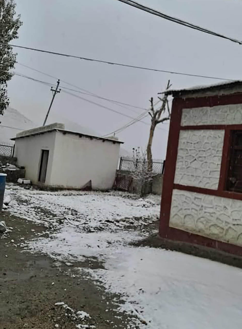Single Image